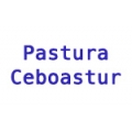 pastura ceboastur